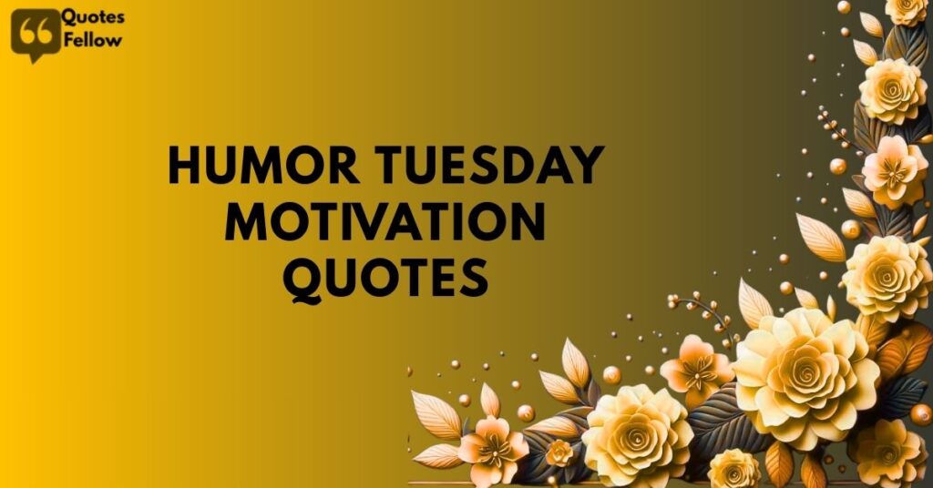 humor tuesday motivation quotes